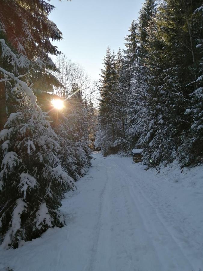 Bio-Bauernhof "Hecherhof" Thiersee Luaran gambar
