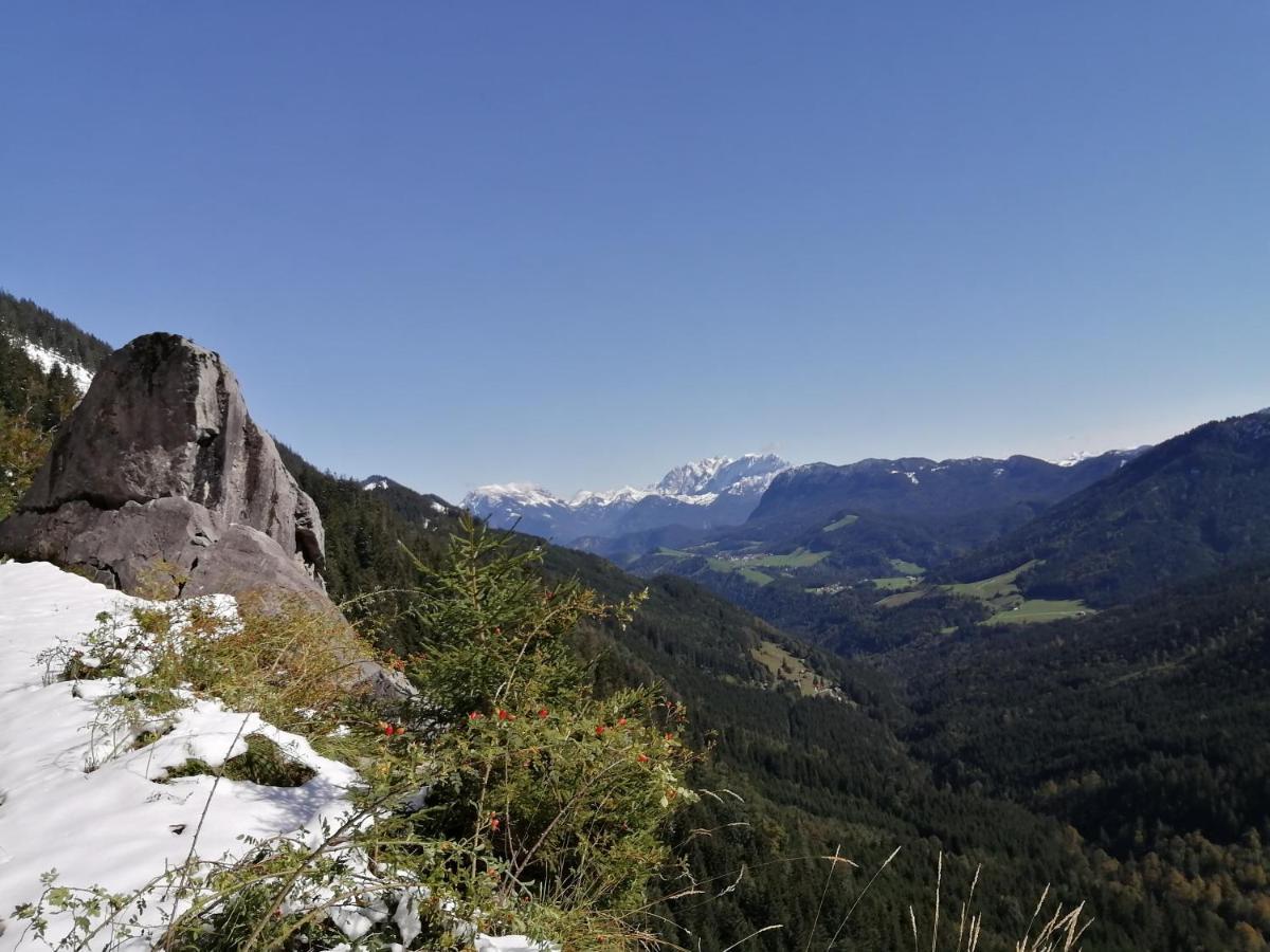 Bio-Bauernhof "Hecherhof" Thiersee Luaran gambar