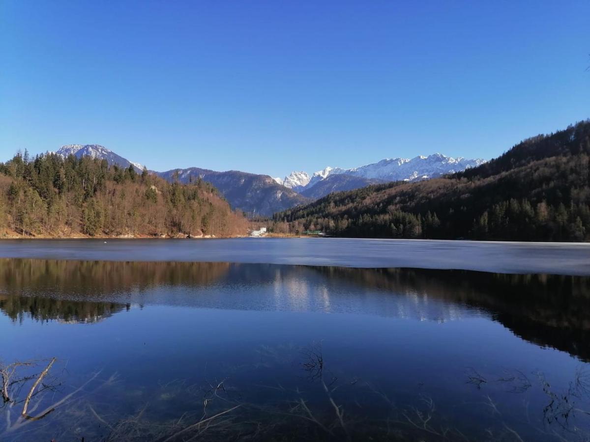 Bio-Bauernhof "Hecherhof" Thiersee Luaran gambar