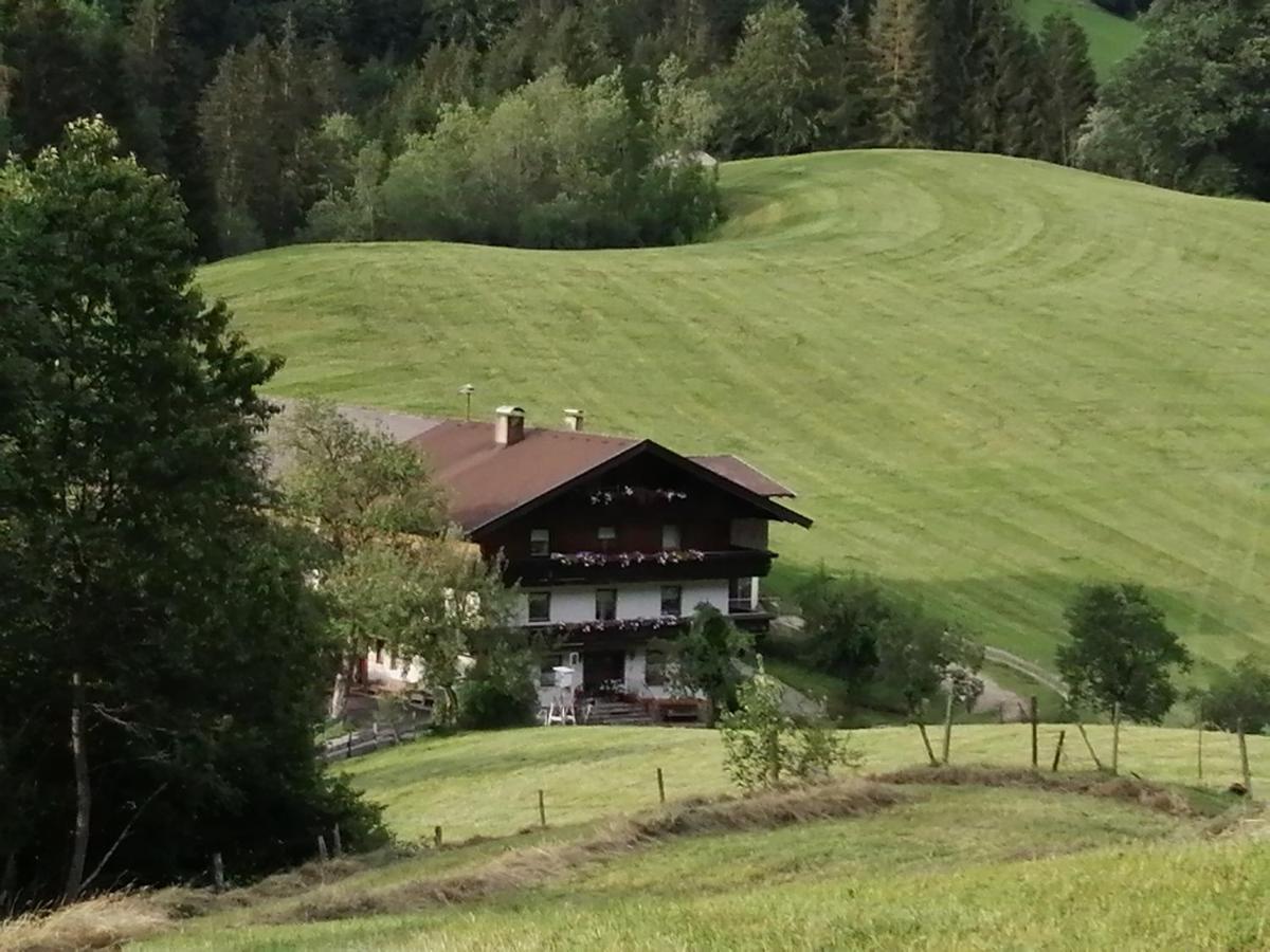 Bio-Bauernhof "Hecherhof" Thiersee Luaran gambar