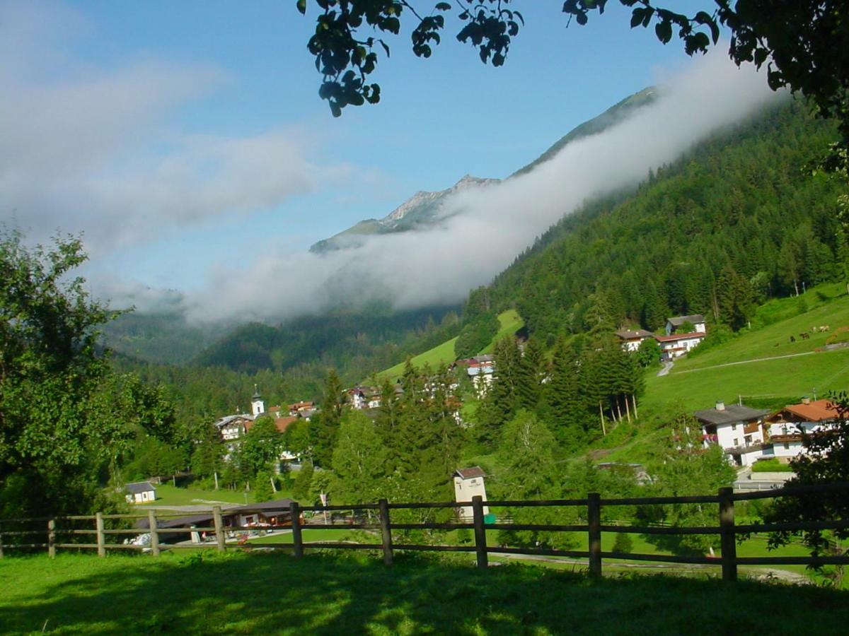 Bio-Bauernhof "Hecherhof" Thiersee Luaran gambar