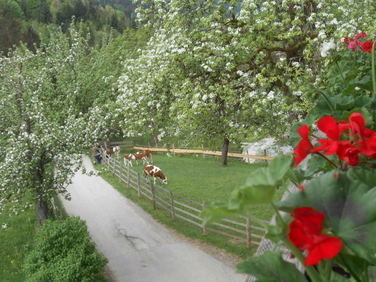 Bio-Bauernhof "Hecherhof" Thiersee Luaran gambar