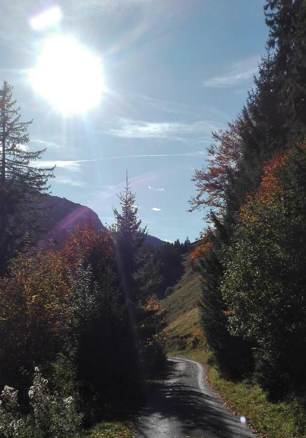 Bio-Bauernhof "Hecherhof" Thiersee Luaran gambar